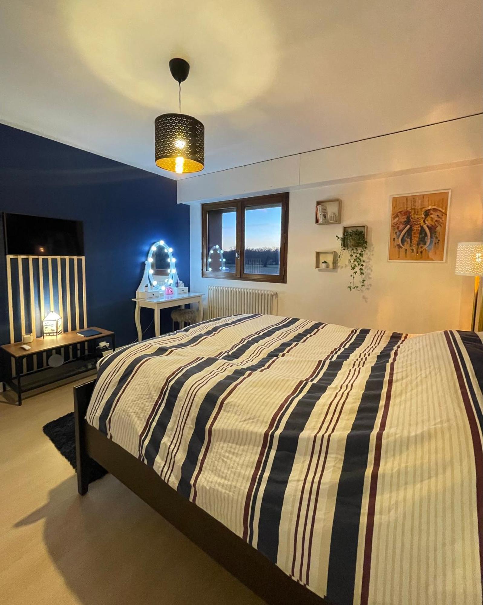 Appartement Tres Cosy A 5 Min Aeroport Geneve Ferney-Voltaire Exterior foto