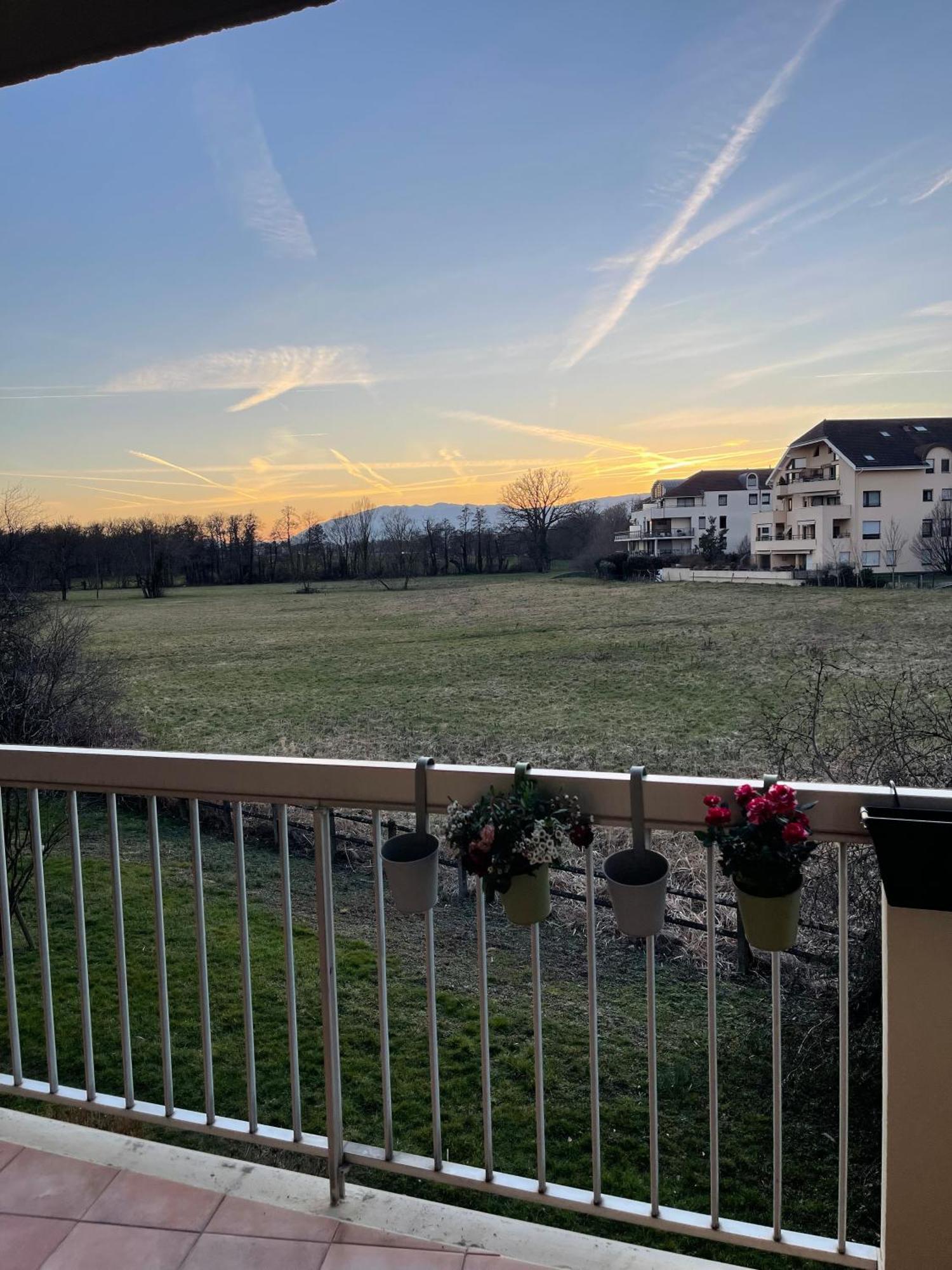 Appartement Tres Cosy A 5 Min Aeroport Geneve Ferney-Voltaire Exterior foto
